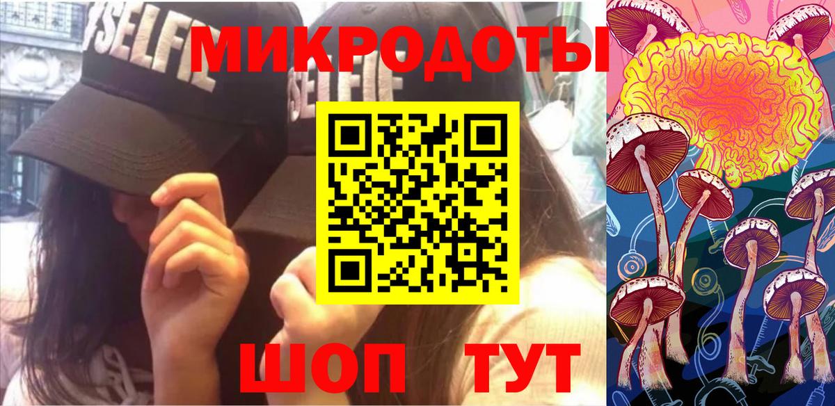 Псилоцибиновые грибы MAGIC MUSHROOMS Чернушка