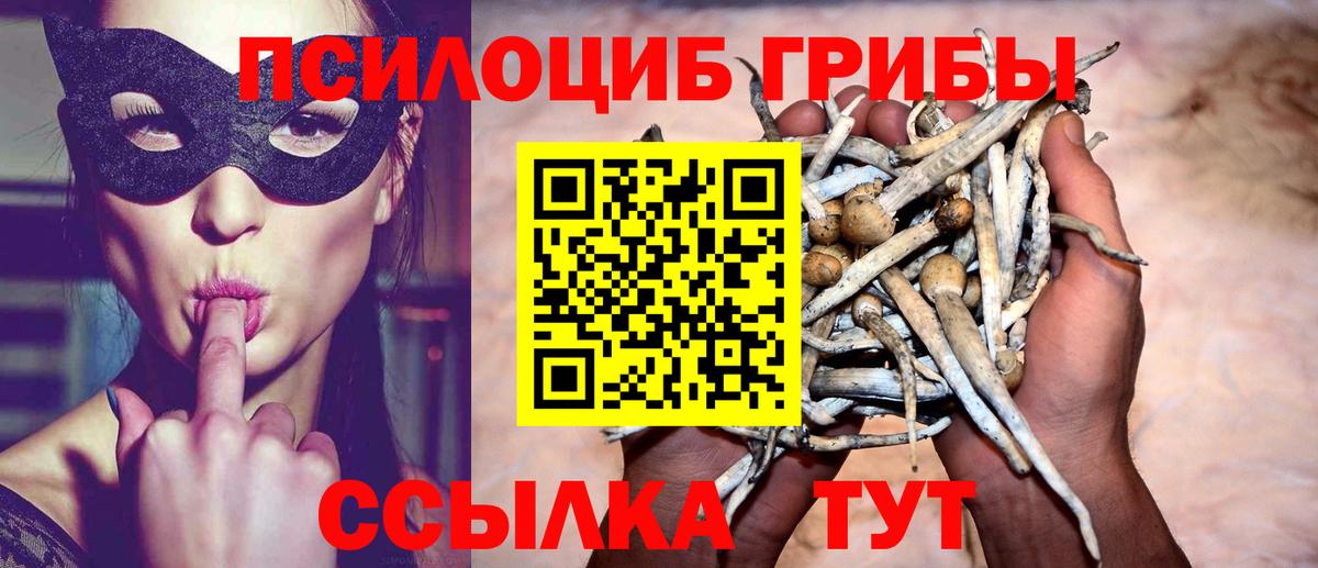 Чернушка  дарнет шоп  Вход с VPN  Галлюциногенные грибы Magic Shrooms  Псилоцибиновые грибы ЛСД 